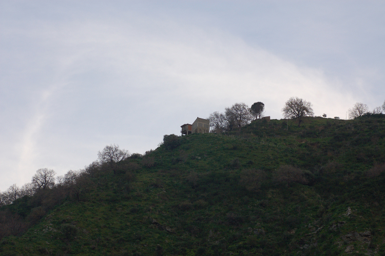 5 Le colline di Taormina:Aphyllophorales e molto altro